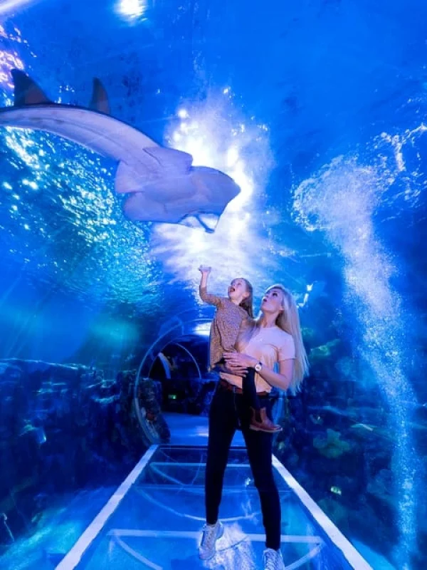 National Sea Life Centre Entrance Ticket